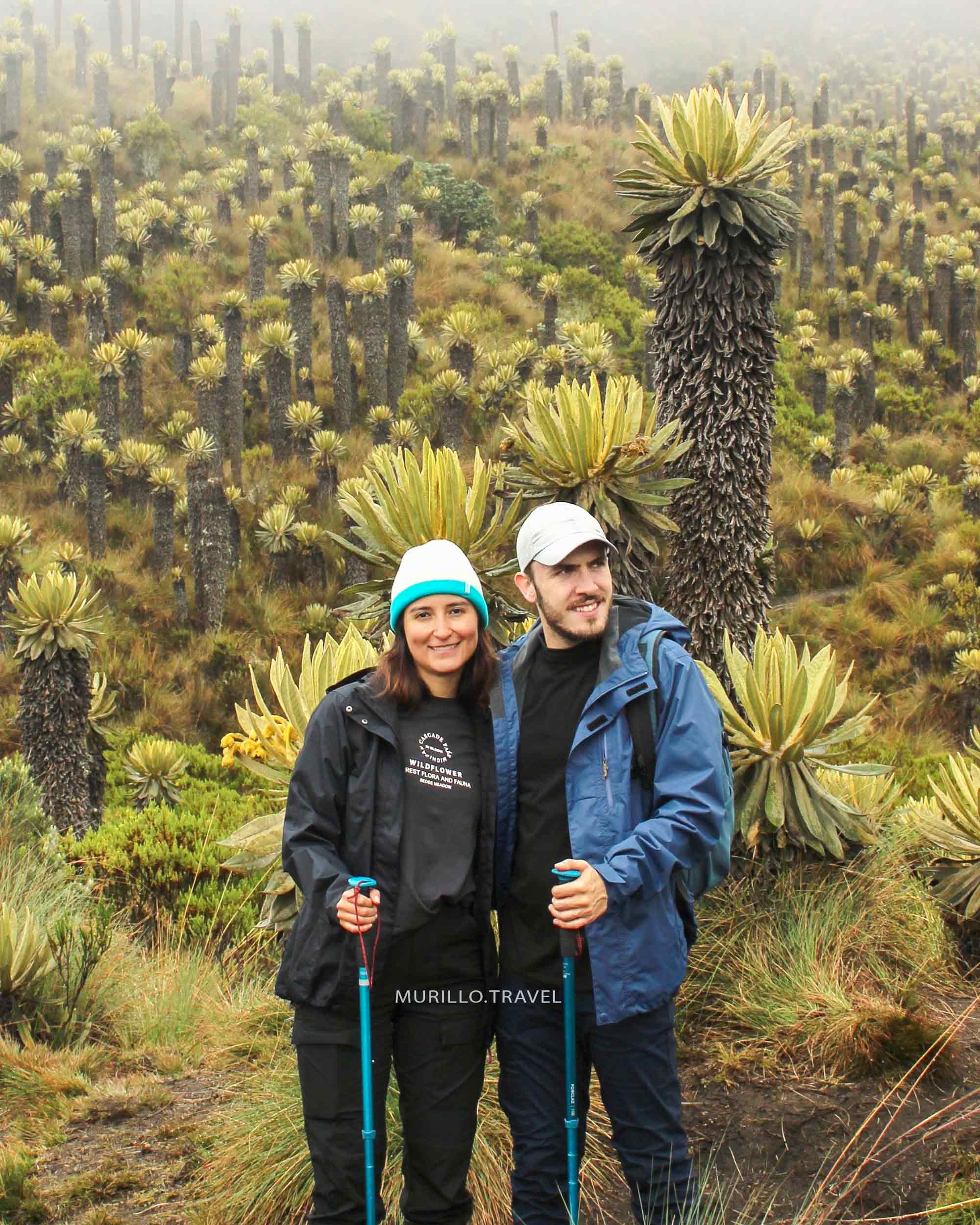 valle-de-frailejones-murillo-tolima